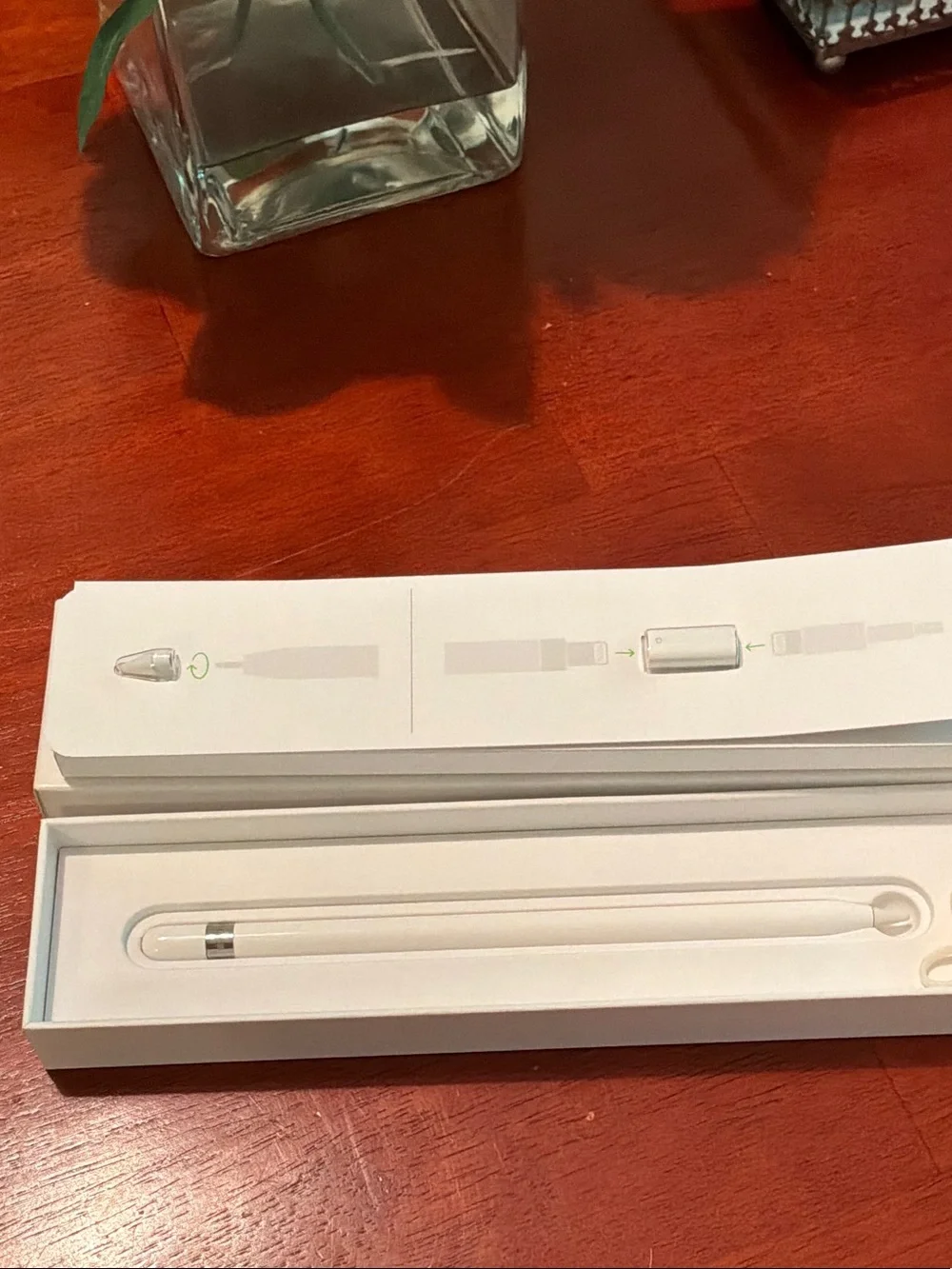 Apple Pencil (Stylus)